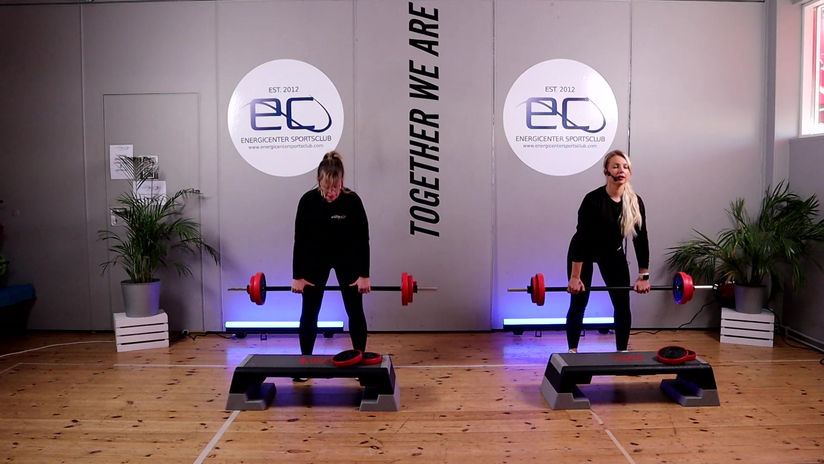 Skivstång Anette & Caroline 2